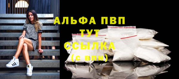 амф Вязьма