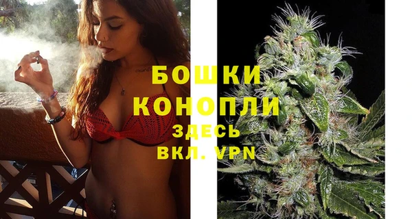 бошки Вяземский