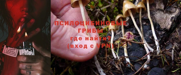 амф Вязьма