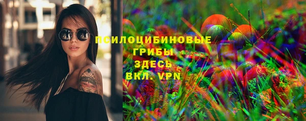 бошки Вяземский