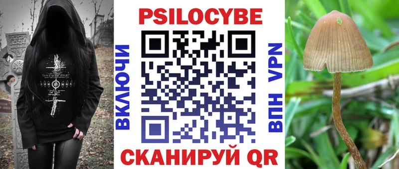 Купить где  Питкяранта  Псилоцибиновые грибы мицелий 