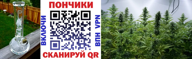 Конопля планчик  Купить где  Питкяранта 